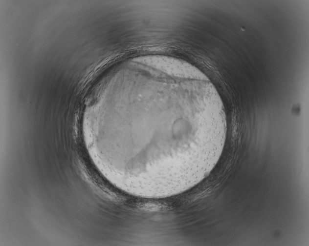 X0000115170542200912091026