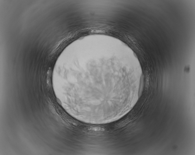 X0000115170543200912091026