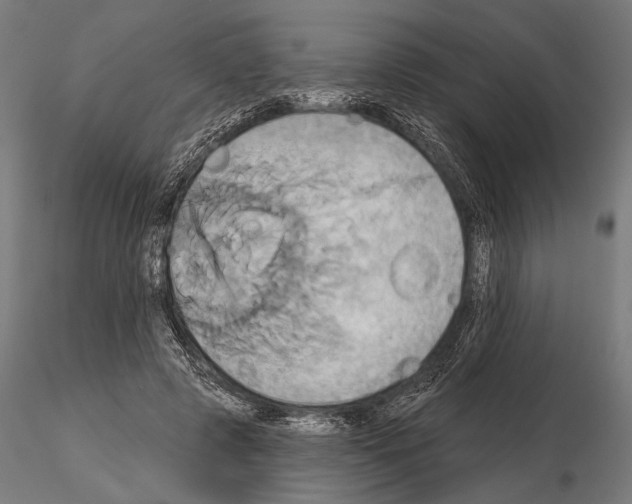 X0000115170545200912091026