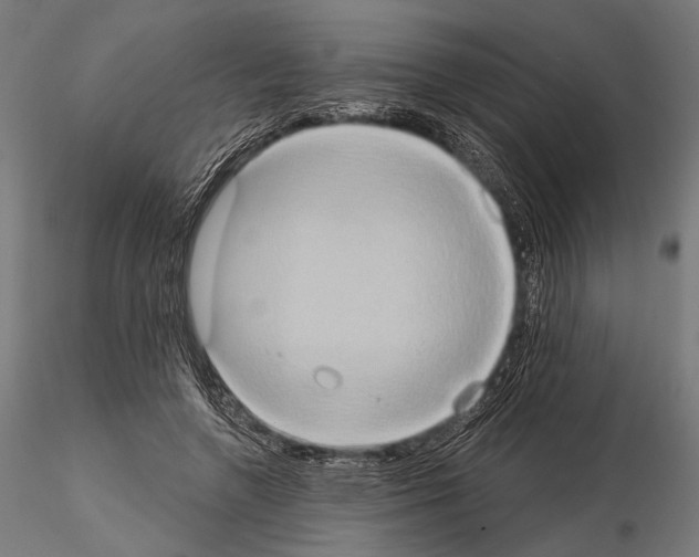 X0000115170546200912091026