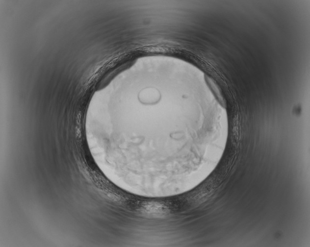 X0000115170547200912091026