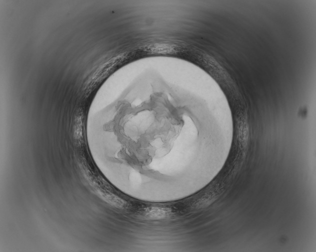 X0000115170549200912091026