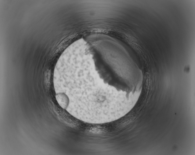 X0000115170550200912091026