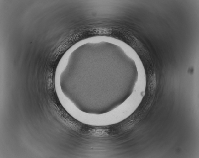 X0000115170553200912091026