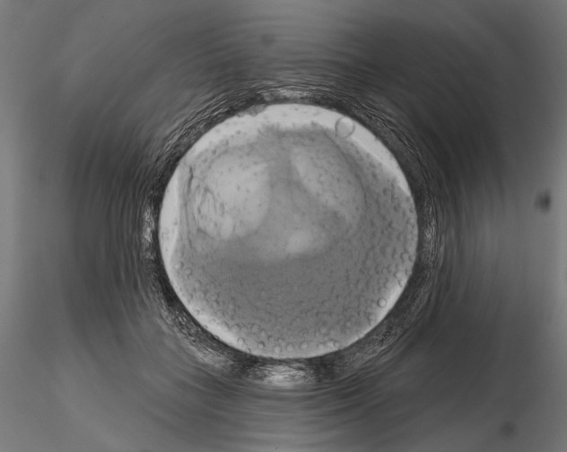 X0000115170555200912091026