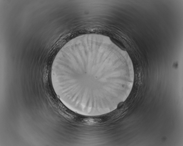 X0000115170558200912091026