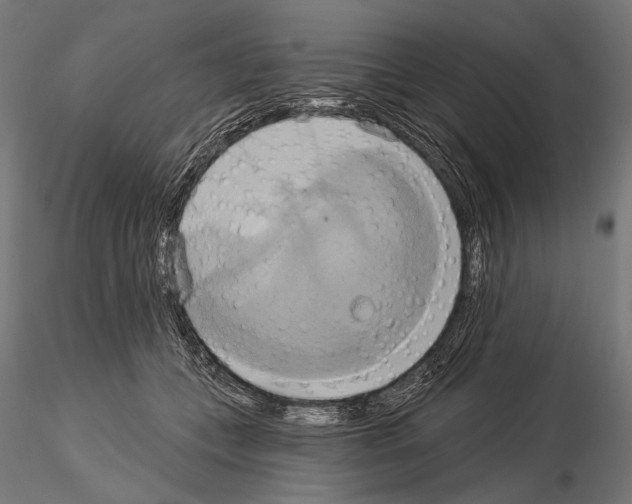 X0000115170559200912091026