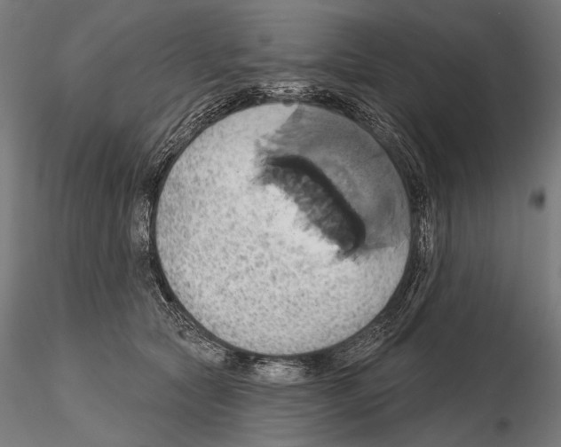 X0000115170561200912091026