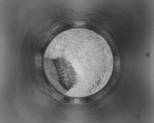 X0000115170565200912091027