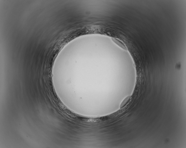 X0000115170566200912091027