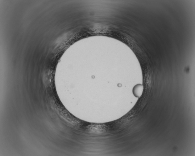 X0000115170567200912091027