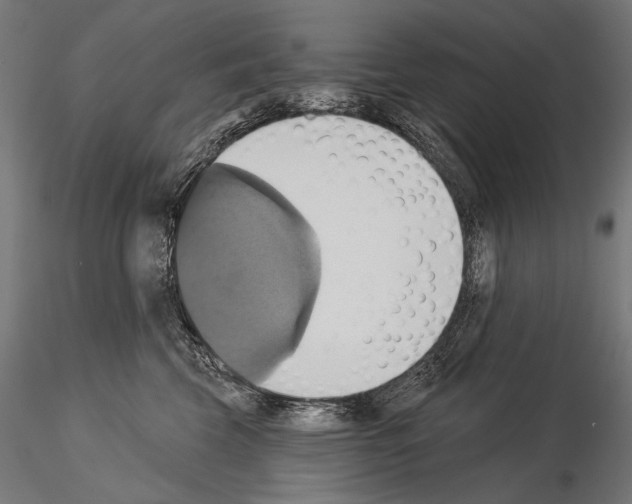 X0000115170569200912091027