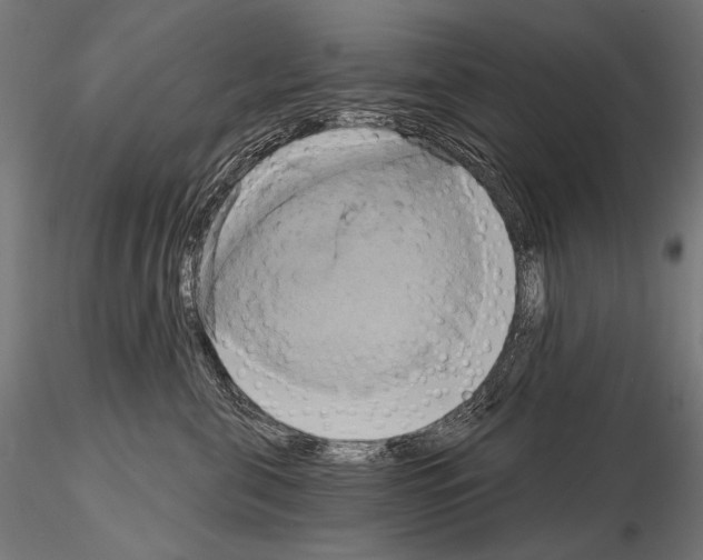 X0000115170571200912091027