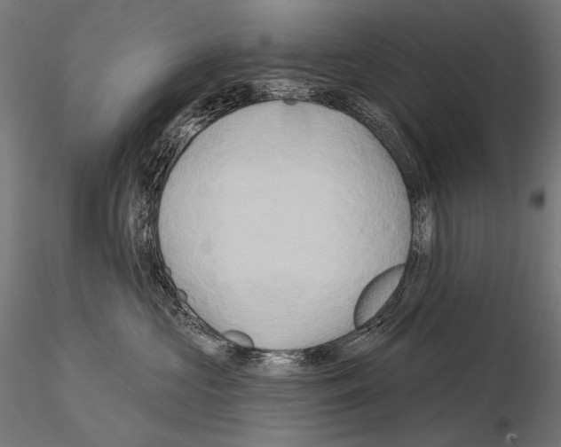 X0000115170573200912091027