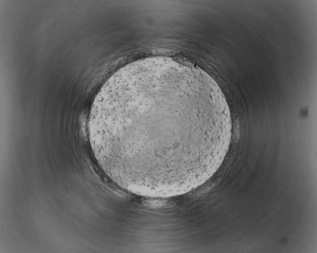 X0000115170575200912091027