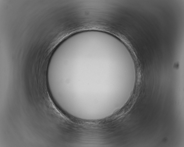 X0000115170577200912091026