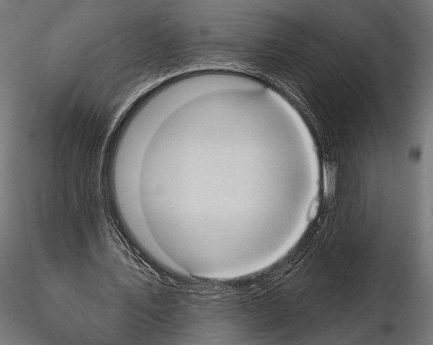 X0000115170579200912091026