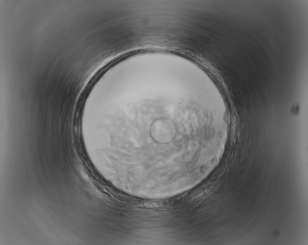 X0000115170580200912091026