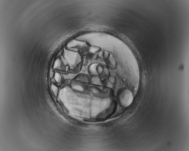 X0000115170581200912091026