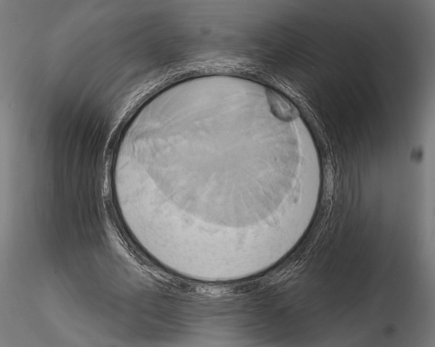 X0000115170582200912091026