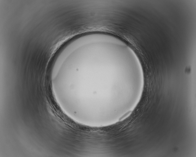 X0000115170583200912091026