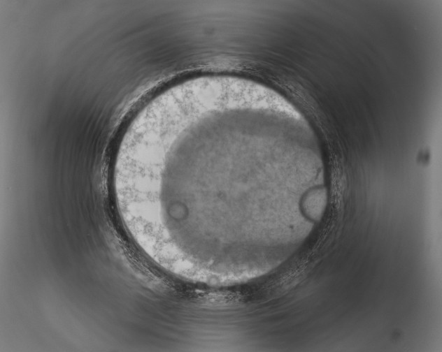 X0000115170584200912091026