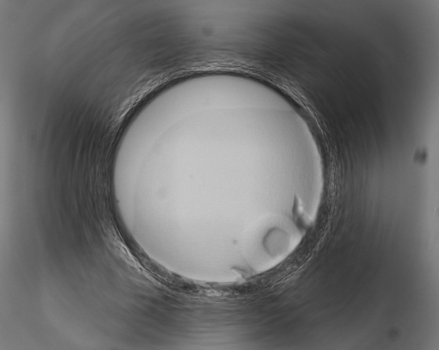 X0000115170585200912091026