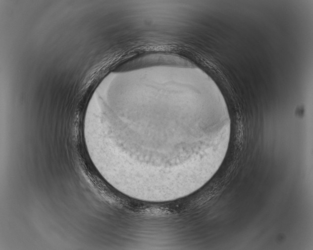 X0000115170586200912091026