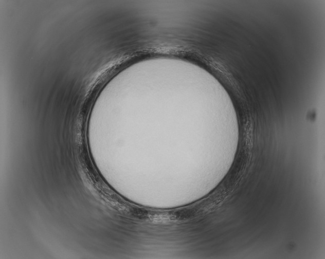 X0000115170587200912091026