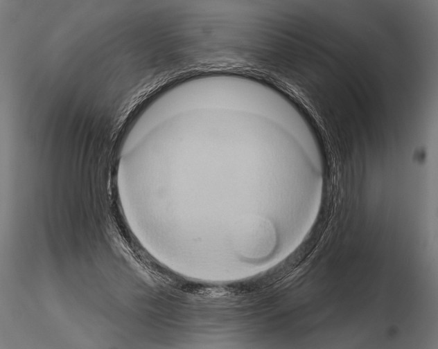 X0000115170589200912091026