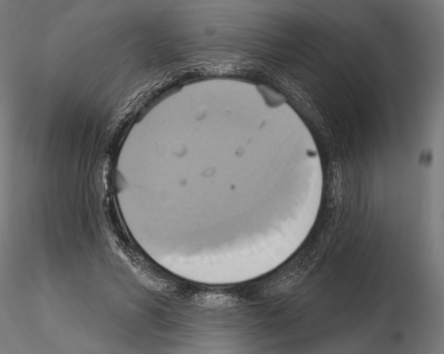 X0000115170590200912091026