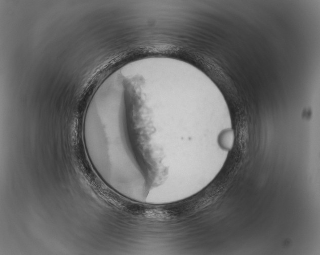 X0000115170591200912091026