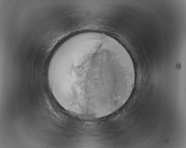 X0000115170592200912091026