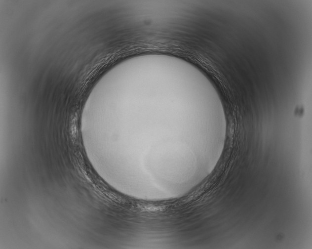 X0000115170593200912091026