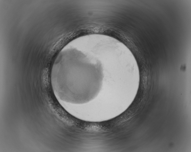 X0000115170594200912091026