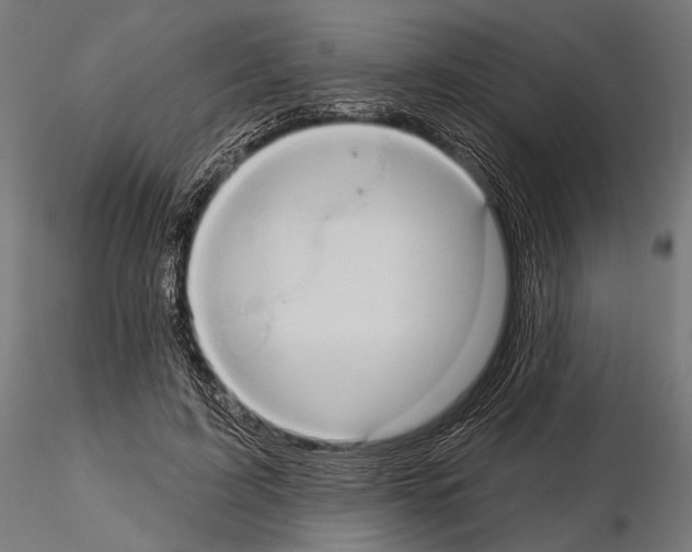 X0000115170595200912091026