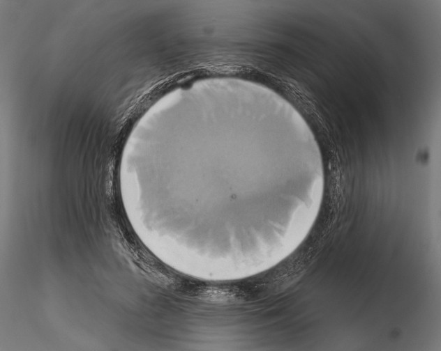 X0000115170596200912091026