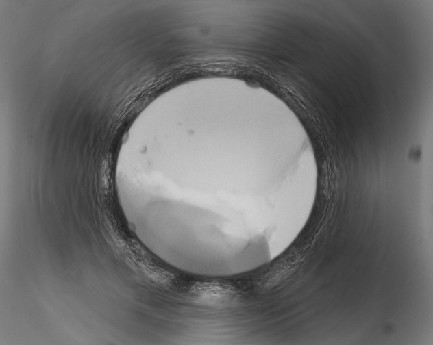 X0000115170597200912091026