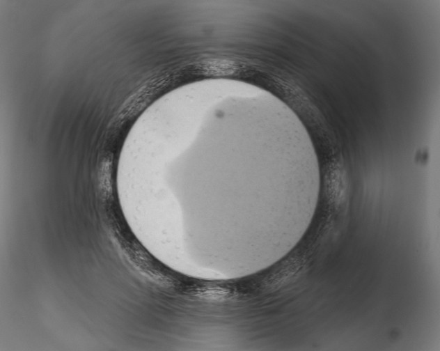 X0000115170598200912091026