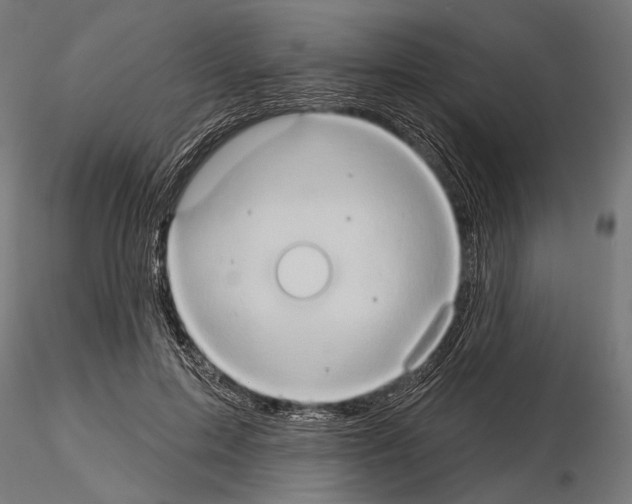 X0000115170599200912091026