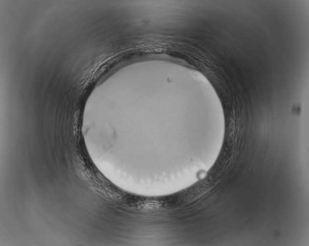 X0000115170600200912091026