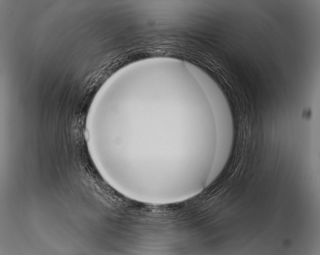 X0000115170601200912091025