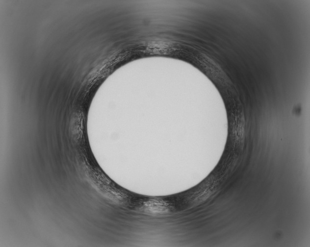 X0000115170603200912091025