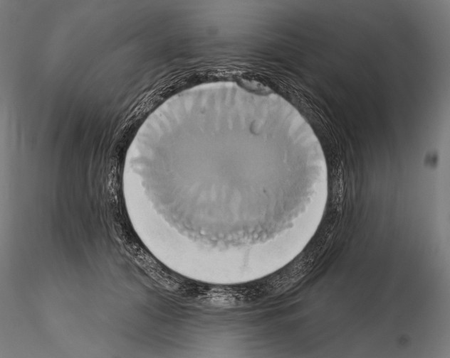 X0000115170608200912091025