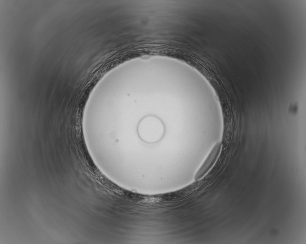 X0000115170609200912091025