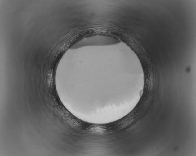 X0000115170610200912091025