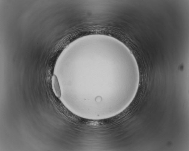 X0000115170611200912091025