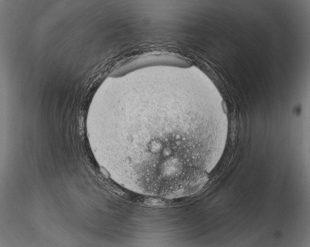 X0000115170613200912091025