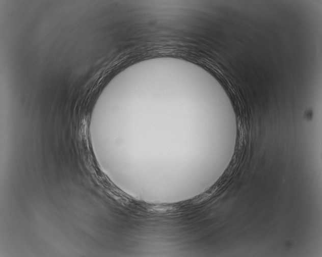 X0000115170617200912091025