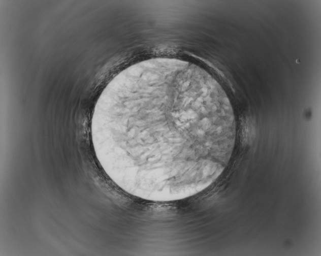 X0000115170619200912091025